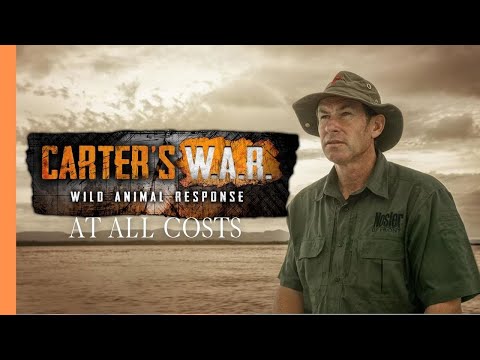 Carter's War - Rhino Rescue Mission: 600 Miles to Safety | Wildlife Documentary