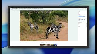 Lens Auto Segmentation (SAM3 powered)