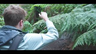 Waiting Impatiently Promo Video