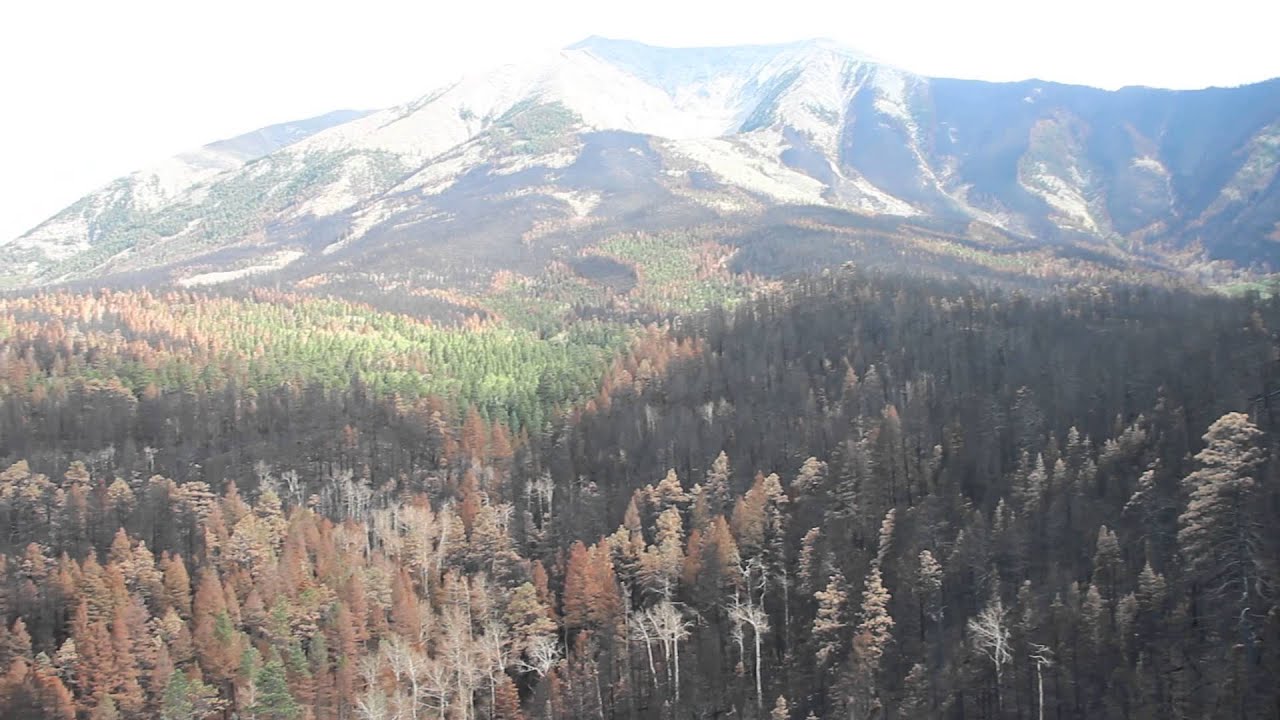 East Peak Fire, Storey Creek and mountain panorama