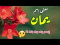 ما معنى اسم يمان في اللغة العربية وما هو أصله وحكمه الشرعي