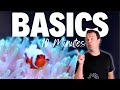 Saltwater Aquarium Basics: Your Complete Guide to Success 🐠