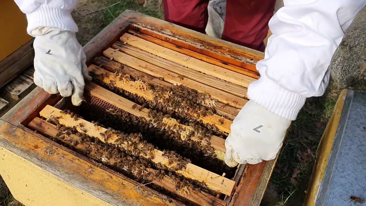 Finner vicelöst samhälle om våren