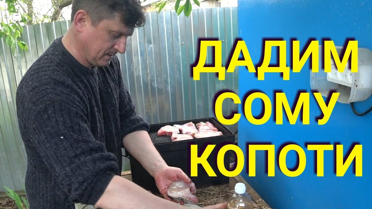Как вкусно закоптить сома. Смотри и повторяй! - YouTube