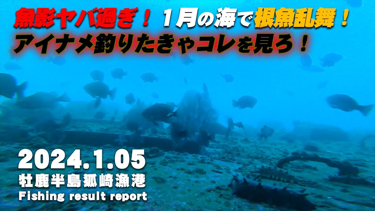 【水中映像】 牡鹿半島狐崎漁港で水中映像！ロックフィッシュアングラー必見！アイナメ狙うなら絶対に見るべき！