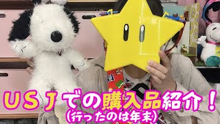 【USJ】マリオ＆スヌーピーグッズ購入品紹介！