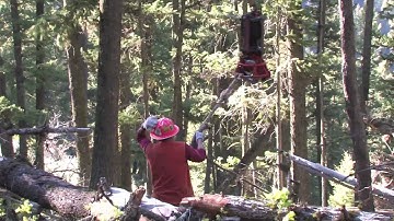 Best Heli-logging Video on the Internet (Part 3) Original Uncut Version