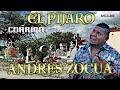 2023 CORRIDO EL PIJARO | ANDRES ZOCUA
