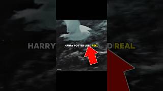 Hedwig was REAL 😳#harrypotter #moviefacts #behindthescenes #filmtrivia #nostalgia #fyp