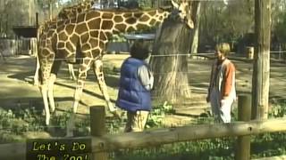 Lets do the Zoo - Docents - Giraffe