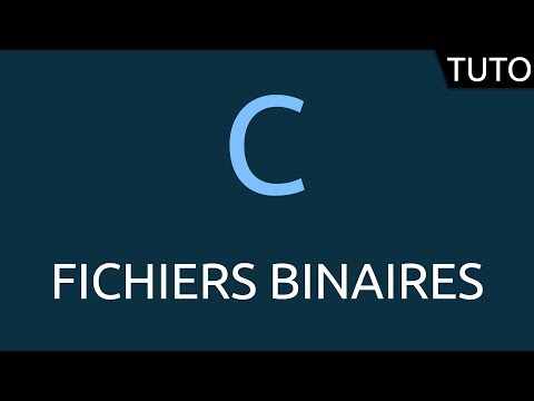 Vidéo: Was est un fichier binaire ?