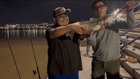 Memancing larut malam di danau kota Tempe! #azfish #catfish #arizonafishing #fishing #tempe 