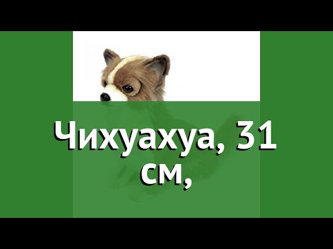 Чихуахуа, 31 см, (Hansa) обзор 6502 бренд Hansa производитель HANSA Сreation (Филиппины)