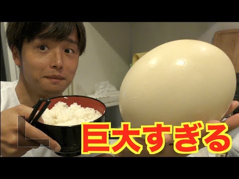 ダチョウの卵 豪快に卵かけご飯 2合 にしたらお米がとまらない Youtube ダチョウの卵 豪快に卵かけご飯 2合 にしたらお米がとまらない Youtube