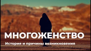 Многоженство. Почему древние греки имели несколько жен?  / Часть 1