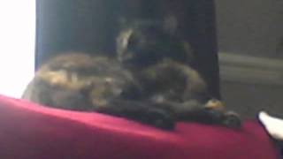 Capture 20120710
