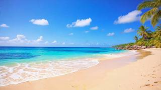 CALM YOUR MIND BY LISTENING TO THE SOOTHING SOUND OF THE WAVES 🌊 GANTLE OCEAN WAVES SOUNDS FOR SLEEP