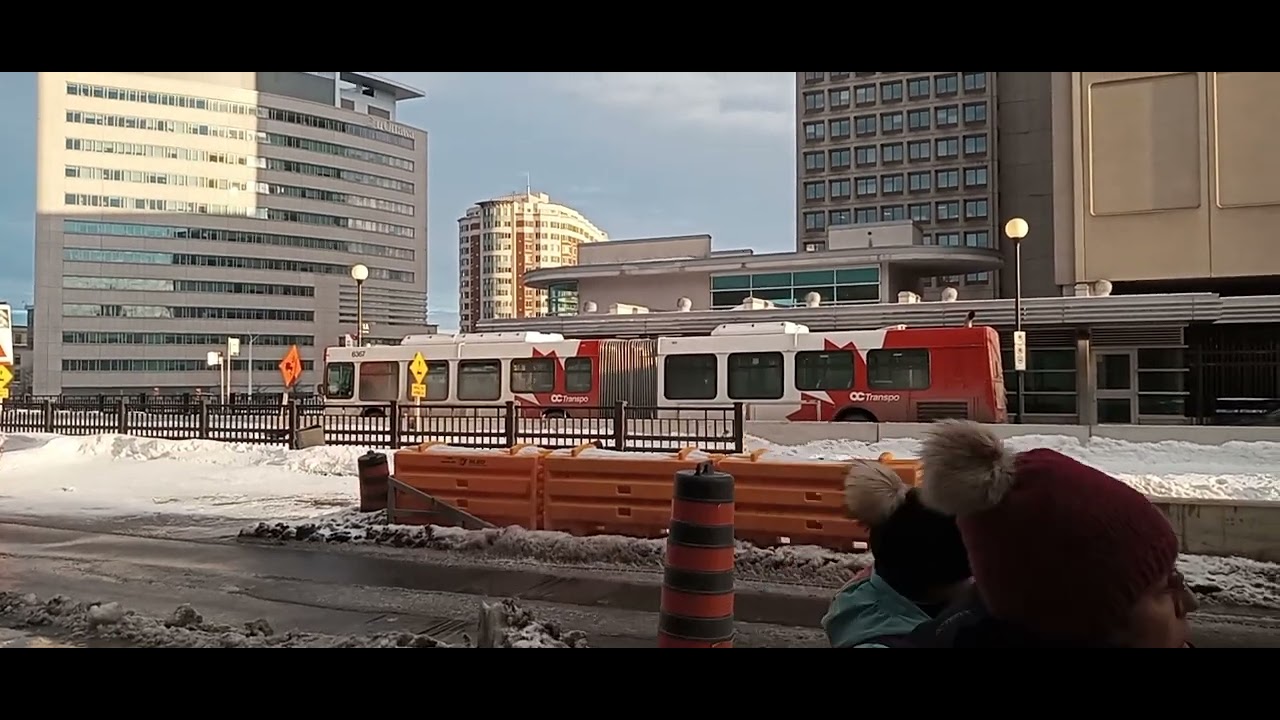 OC Transpo Bus 6367 A 2008 New Flyer D60LF Articulated Bus oc-transpo-bus-6367-a-2008-new-flyer-d60lf-articulated-bus