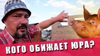 СВИНЬИ ДОХНУТ ОТ ЖАРЫ | ЛЮЦЕРНА ДЛЯ СВИНЕЙ | Есть ли связка? | Строительные материалы подорожали