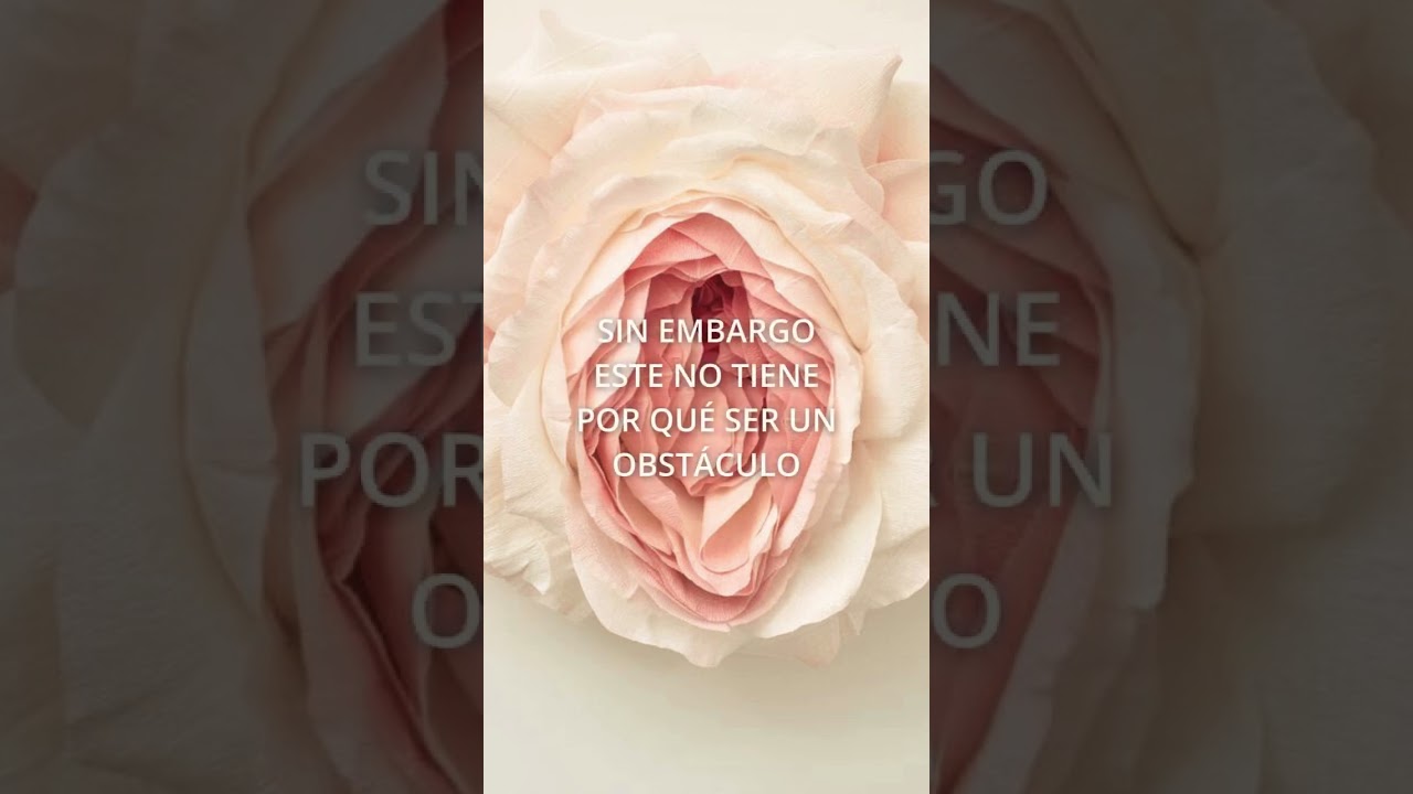 Como reavivar tu sexualidad en la menopausia 