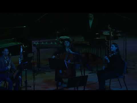 Related Embedded Video Item Thumbnail