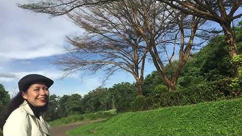 Personal Reflection: Introduction to the Philosophy of the Human Person