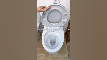 Nắp Bồn Cầu Rửa Cơ American Standard M4A839 SW