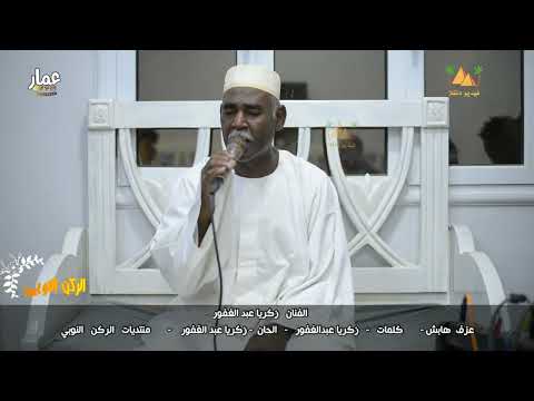 أغاني نوبية حلفاء زكرياء عبدالغفور الركن النوبي جديد 2022