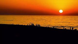 Mustafa Anşın - Yaramızda Kalsın Onur Can Özcan