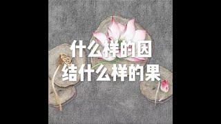 201807 什么样的因 结什么样的果50563