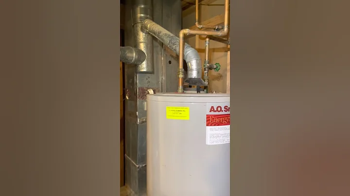20 Year Old Leaking Atmospheric Natural Gas Water Heater