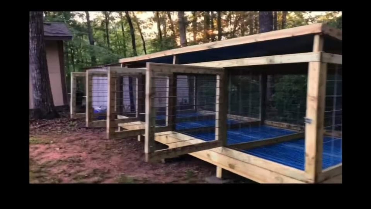 New Hatcher UnBoxing GQF Sportsman Incubator Is FULL 👶 🐔 - YouTube