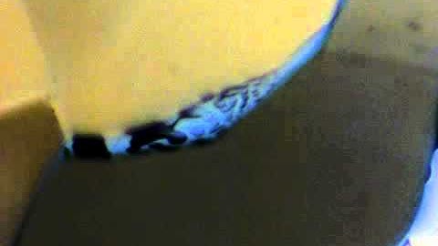 Dynamic Grain Boundary Structure with Gas Inclusions