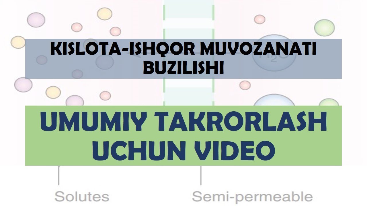 Kɪsʟᴏᴛᴀ - Isʜǫᴏʀ Tᴀᴋʀᴏʀʟᴀsʜ Uᴄʜᴜɴ Vɪᴅᴇᴏ