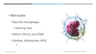 Immune Cells and Organs (part 1)