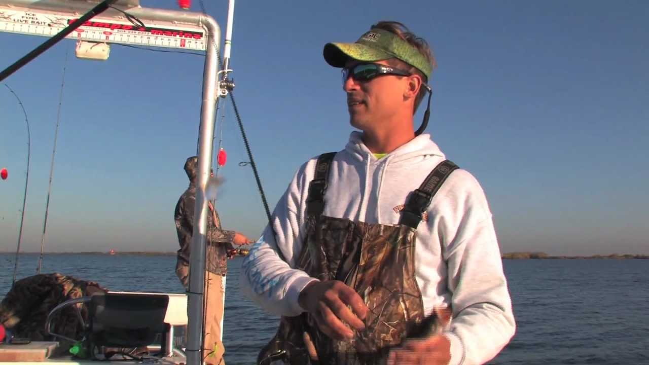 Limits of Speckled Trout in Shell Beach