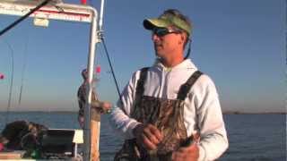 Limits of Speckled Trout in Shell Beach