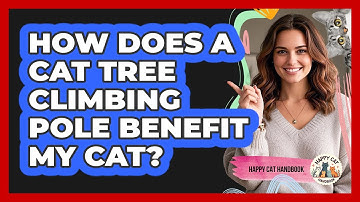 How Does A Cat Tree Climbing Pole Benefit My Cat? - Happy Cat Handbook