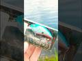 This Crankbait Cost $20…