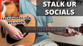 Stalk Ur Socials - s0rrow (Guitar Tutorial) No Capo! Easy Chords For Beginner!