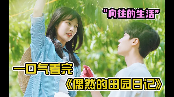 首爾土著獸醫被丟到農村，遇到青春靚麗的女巡警，雙向奔赴的愛情！一口氣看完《偶然的田園日記》 - 天天要聞
