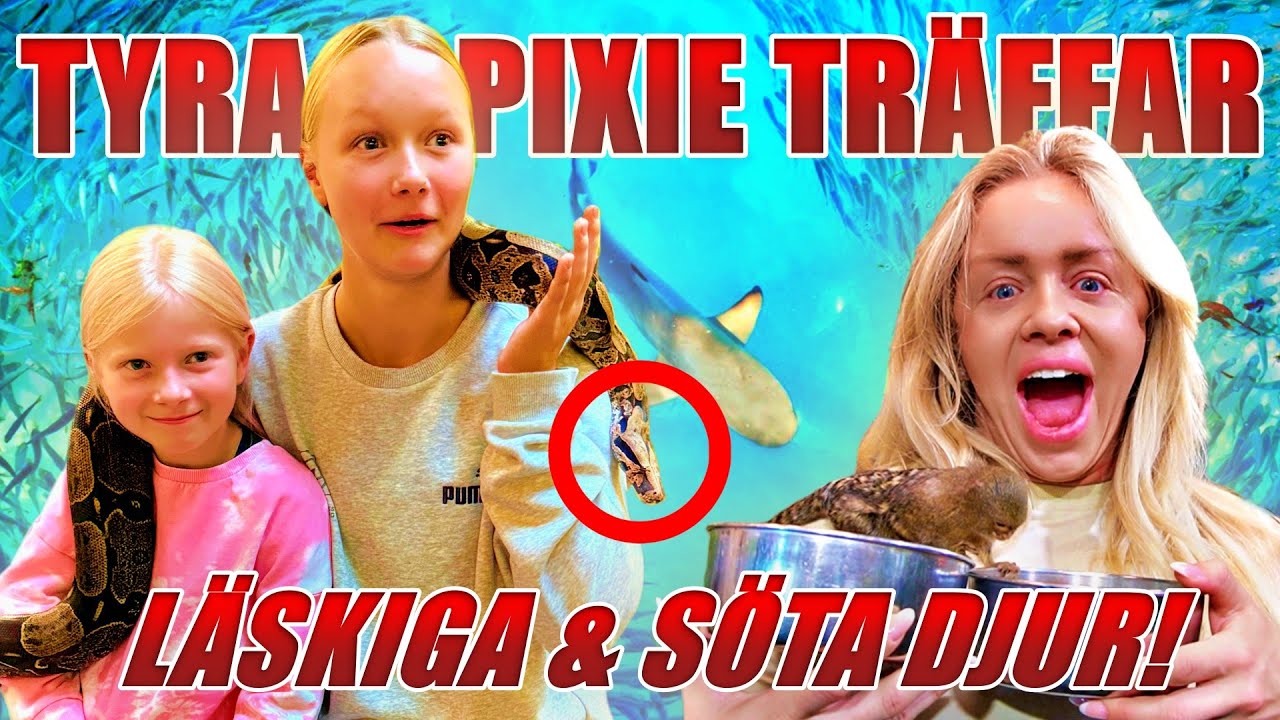TYRA OCH PIXIE TRÄFFAR LÄSKIGA & SÖTA DJUR PÅ SKANSEN AKVARIET!