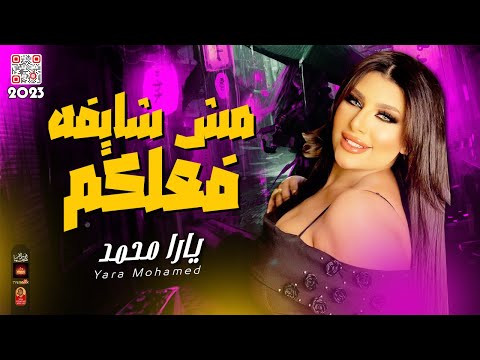 الملكة يارا محمد 2023 مش شايفه فعلكم 2023 باقوى احساس هيخليك تتحظ 2023