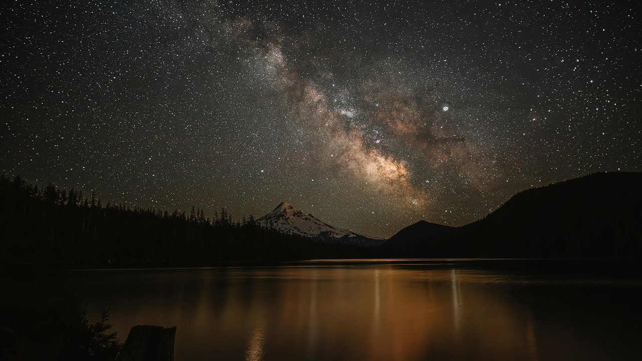 The Ambientalist - Field Of Dreams