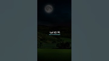 اكتب شيء تؤجر عليه القارئ ماهر المعيقلي 😴❤️