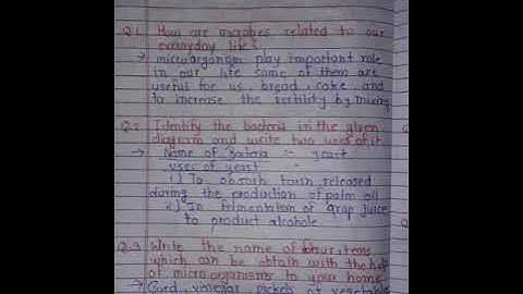 setu bridge course std 10th science activity sheet=12 (part=2) maharashtra state board