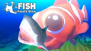 นีโม!! ปลาใหย๋หัวใจเล๊กเล็ก!! | Fish Feed and Grow #22