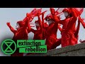 The Sea Is Rising And So Are We Extinction Rebellion 