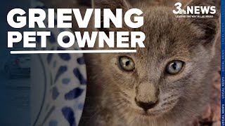 Grieving Las Vegas Woman Seeks Answers After Her Cat Was Shot, Killed