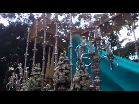 Antigua, Venerable Hermandad y Cofradía de Nazarenos de Nuestro Padre Jesús de la Soledad, Negaciones y Lágrimas de San Pedro, María Santísima del Dulce Nombre y San Francisco de Asís